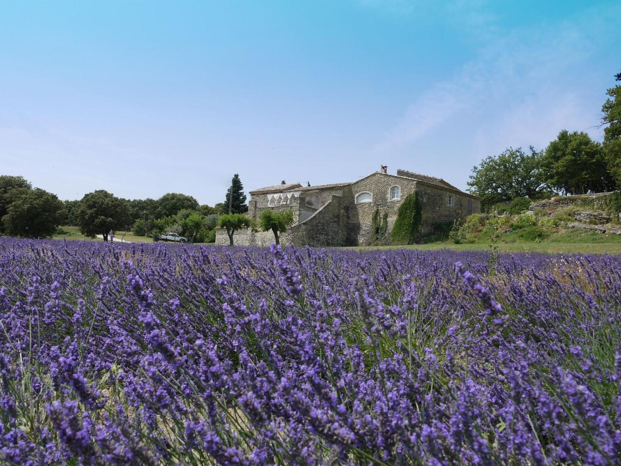 La Ferme Les Eybrachas Hotel Reauville Bagian luar foto